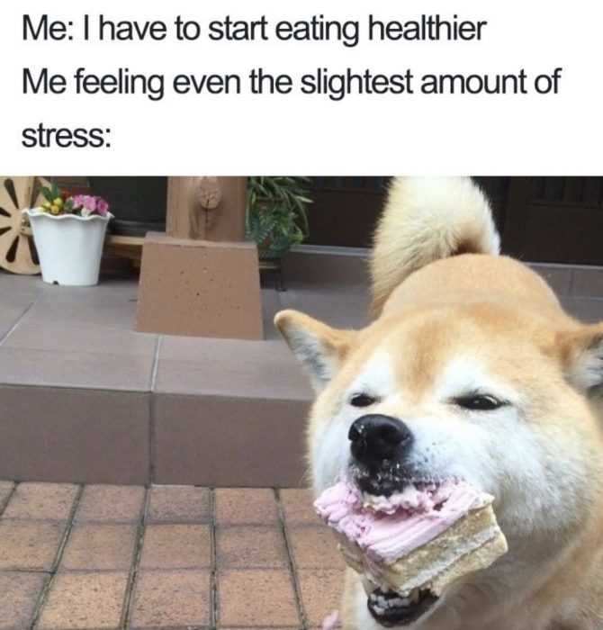 Eathing-Healthier-And-Stress-Meme Meme Featuring A Dog With Cake In Its Mouth With Caption Me Feeling Slightest Amount Of Stress After Vowing To Eat Healthy