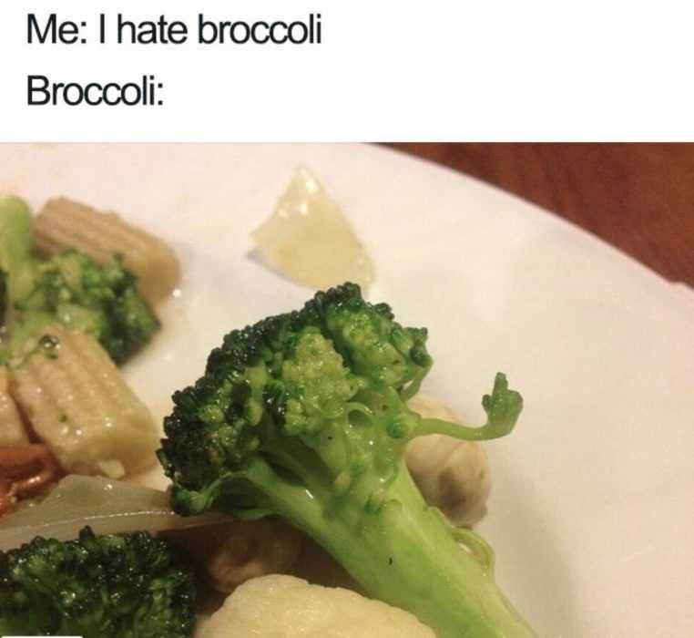 Hating-Brocoli-Meme Meme Featuring A Picture Of Brocoli Flipping The Bird With The Caption I Hate Brocoli