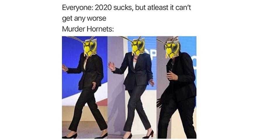 Hornet-Cant-Be-Worse Meme Featuring A Murder Hornet Waltzing Onto Stage When Everyone Thinks 2020 Can'T Get Worse