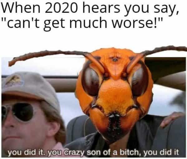 Hornet-Cant-Get-Worse Meme Featuring 2020 Hearing Someone Saying It Can'T Get Much Worse