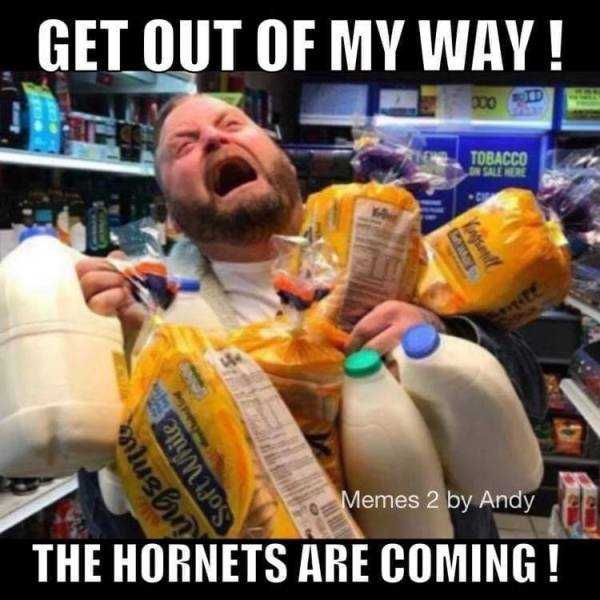 Hornet-Coming Meme Featuring A Man Hoarding Groceries Due To Murder Hornets