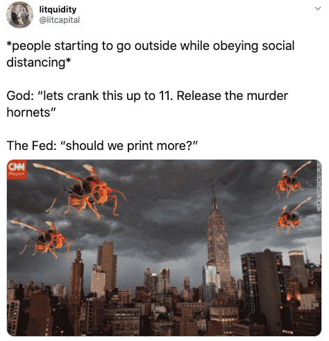 Hornet-Crank-It-Up Meme Featuring God Going Biblical And Releasing Murder Hornets