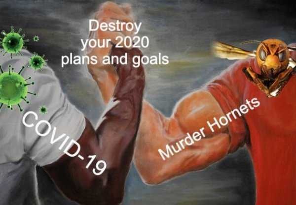 Hornet-Destroy Meme Featuring Covid19 And Murder Hornet Working Together To Destroy 2020 Plans And Goals