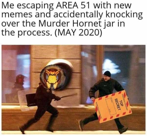 Hornet-Escaping Meme Featuring Someone Escaping Area 51 With New Meme But Knocked Over A Jar Of Murder Hornets