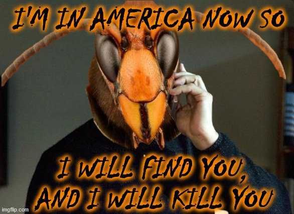 Hornet-Find-And-Kill Murder Hornet Meme Showing A Murder Hornet Saying He'S In America Now And He Will Find And Kill You