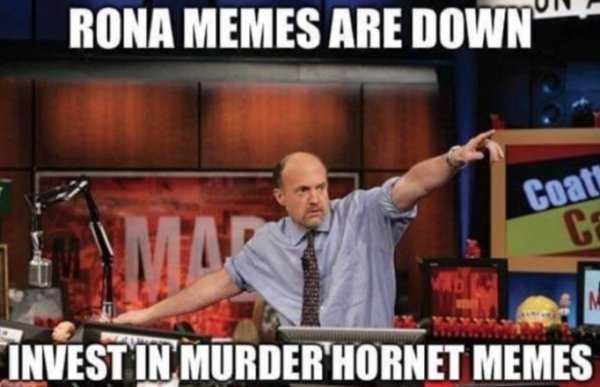 Hornet-Invest Meme Featuring Jim Cramer Saying Rona Memes Are Down So Invest In Murder Hornet Memes