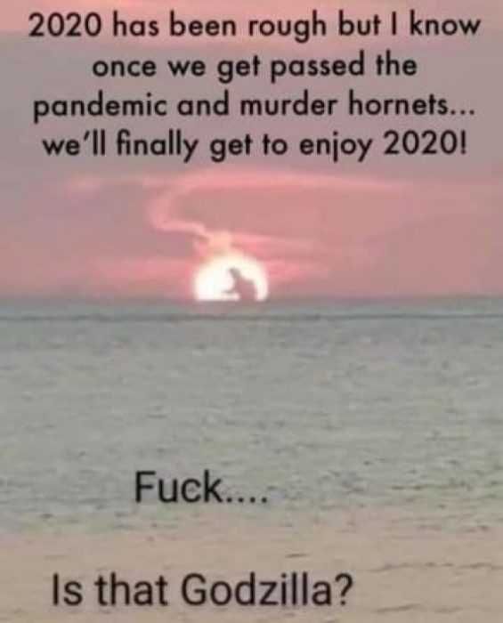 Hornet-Is-That-Godzilla Meme Showing Once Pandemic And Murder Hornets Are Done, We Can Enjoy 2020