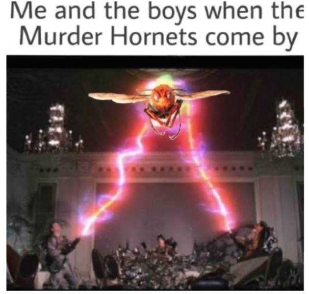 Hornet-Me-And-The-Bots Meme Featuring Ghost Busters Capturing A Murder Hornet
