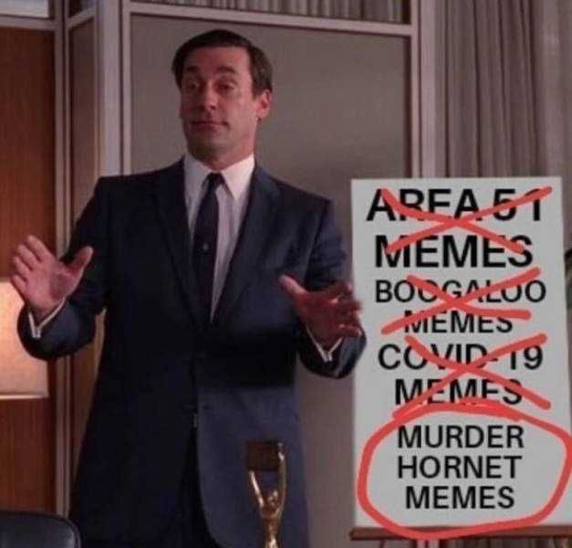 Hornet-Memes-List Meme Featuring A List Of Memes Completed Leaving Just Murder Hornet Memes