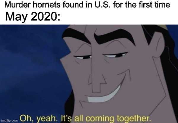Hornet-Oh-Yeah Meme Featuring A Cartoon Villain Saying It'S All Coming Together When News Of Murder Hornets In Us Found.