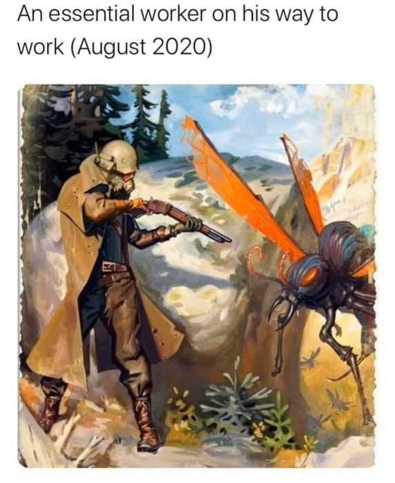 Hornet-On-Essential Meme Featuring An Essential Worker In August 2020 Is Someone With A Shot Gun To Take Out Murder Hornets