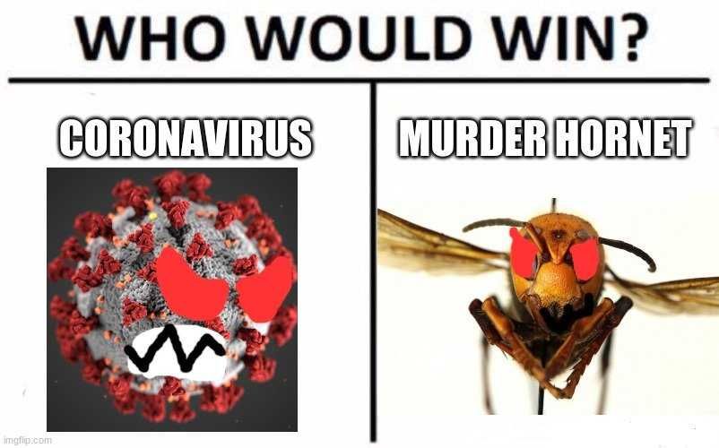Hornet-Who-Win Meme Asking Who Would Win Between Murder Hornet Or Coronavirus