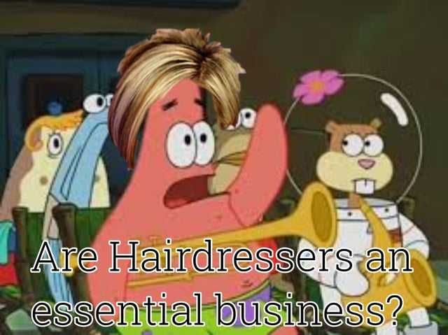 Karen-Essential-Business Karen Coronavirus Memes Karen Needs Hairdressers