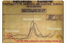 Meme Comparing Spanish Flu To Current Outbreak