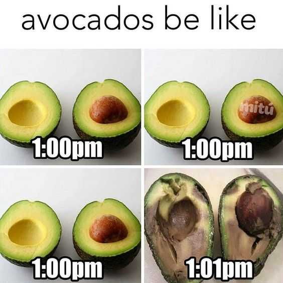 Organic-Avocados Organic Avocados