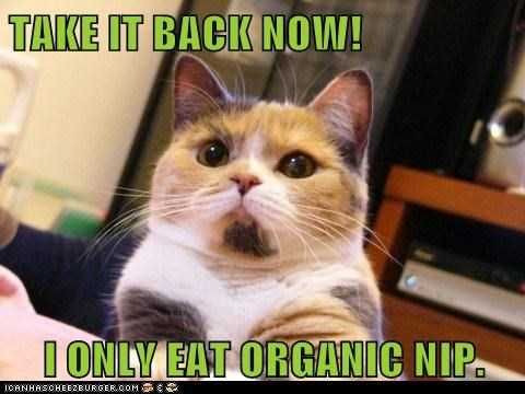 Organic-Catnip Organic Catnip