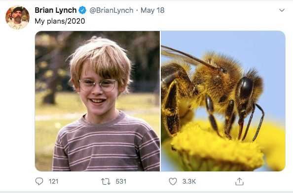 Plans-2020-Bee Plans 2020 Bee