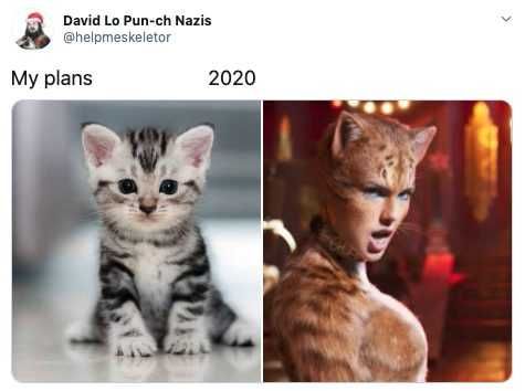 Plans-2020Cats Plans 2020Cats