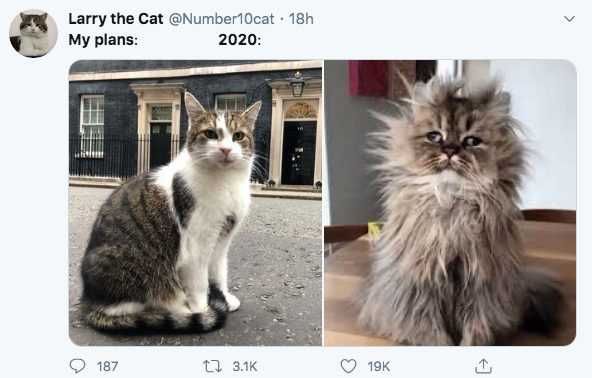 Plans-Larrycat Plans Larrycat