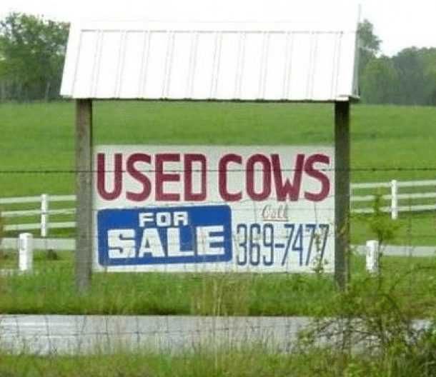 Sign-Used-Cows For Sale Sign Fail Used Cows