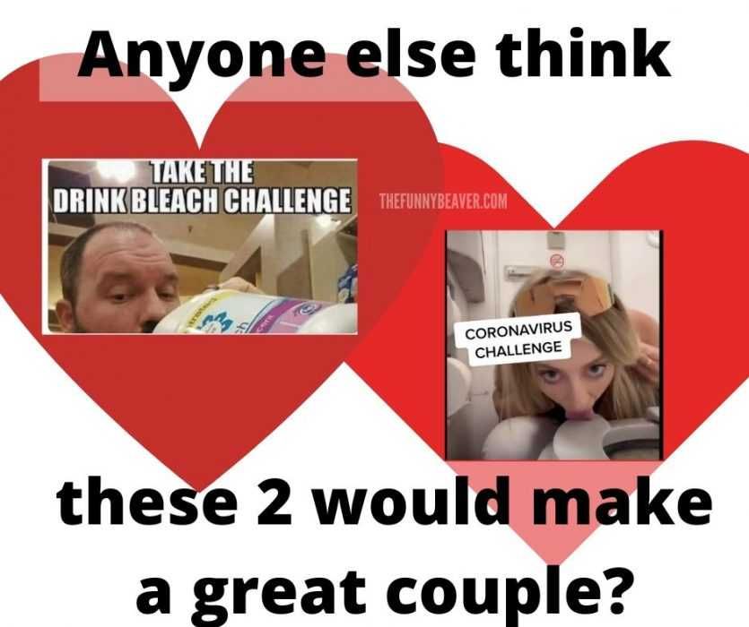 Trump-Memes-Trump-Meme-10 Trump Memes Trump Meme Inspired An Arch Enemy To Toilet Seat Challenge Girl