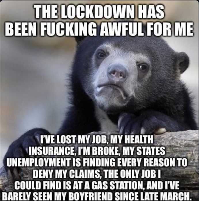 Unemployment-Meme-14 Unemployment Memes Sad Bear Meme
