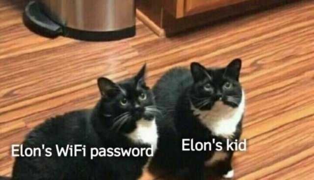 Xe-Router-Password Xe Router Password