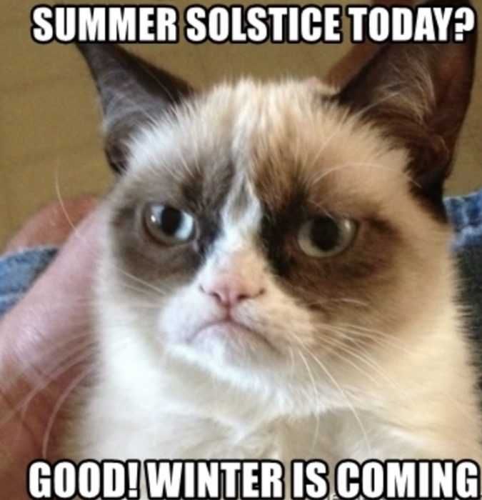 Screen-Shot-2020-06-20-At-10.07.23-Pm Grumpy Cat Summer Solstice Meme