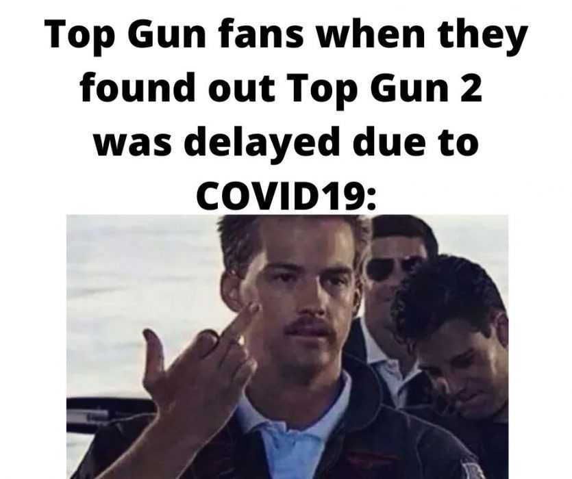 When-Top-Gun-Fans-Found-Out-Top-Gun-2-Was-Delayed_ Meme Of Goose Showing Bird