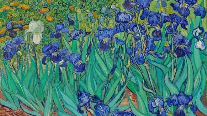 Best-Zoom-Background-09 Van Gogh's Iris Zoom Background