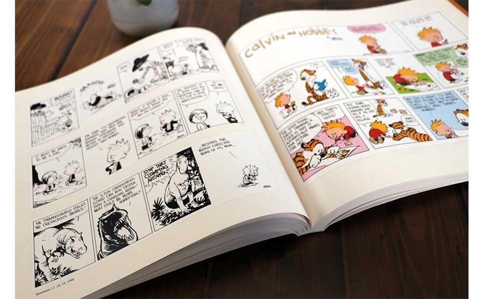 Calvin Hobbes Book Set Fathers Day Gift