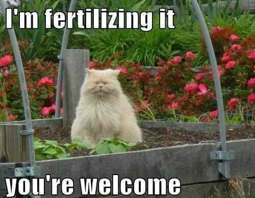 Garden-Feritlizing Garden Feritlizing
