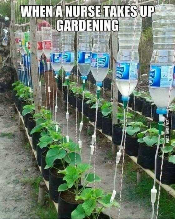 Garden-Nurse Garden Nurse