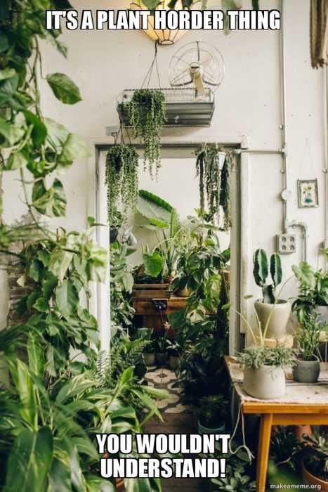 Garden-Plant-Hoarder Garden Plant Hoarder