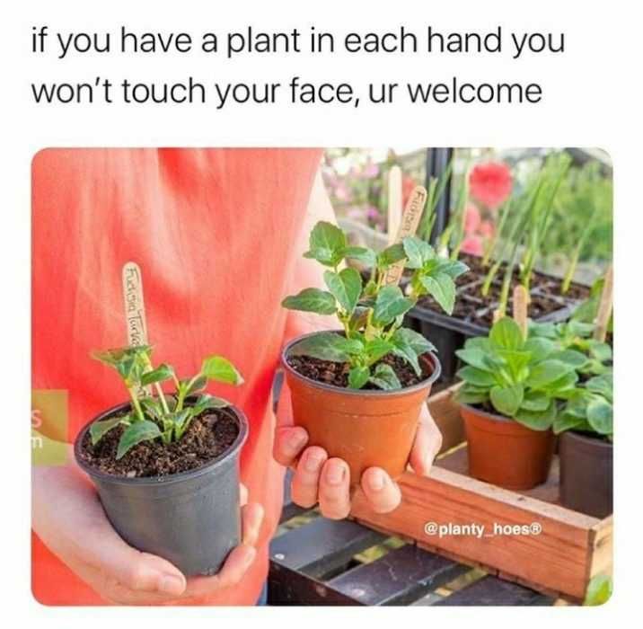 Garden-Plant-In-Each-Hand Garden Plant In Each Hand