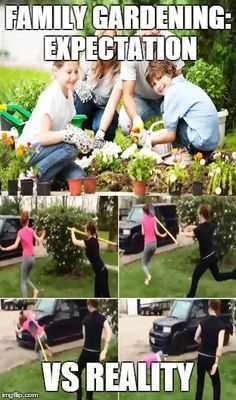Garden-Reality Garden Reality