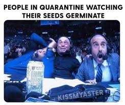 Garden-Seeds-Germinate Garden Seeds Germinate