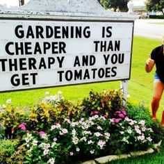 Garden-Tomatoes Garden Tomatoes