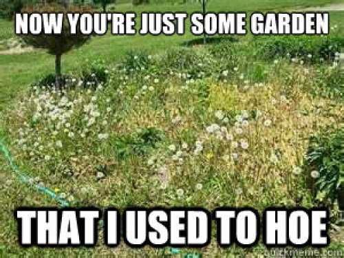 Garden-Used-To-Hoe Garden Used To Hoe