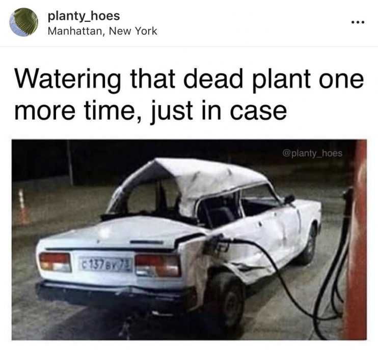 Garden-Watering-One-More-Time Garden Watering One More Time