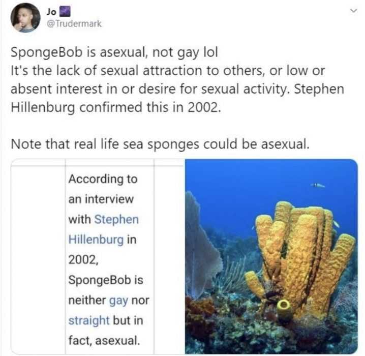 Gay-Spongebob-Meme-15 Spongebob Asexual Meme