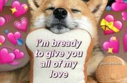 Meme Breddy