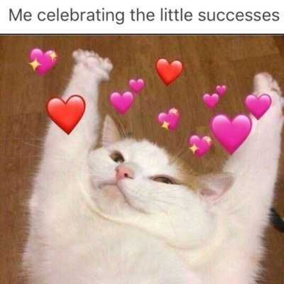 Meme-Celebrating Meme Celebrating