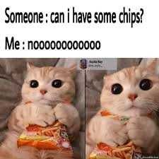 Meme-Chips Meme Chips