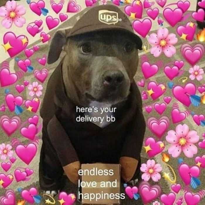 Meme-Delivery Meme Delivery