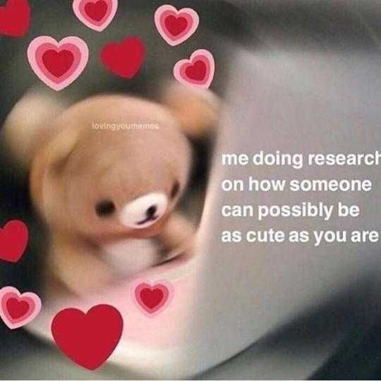 Meme-Doing-Research Meme Doing Research