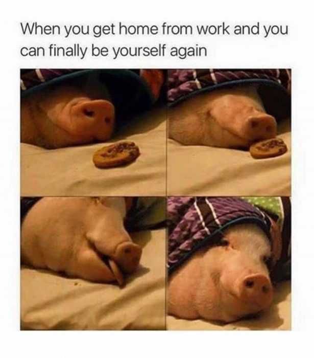 Meme-Get-Home Meme Get Home