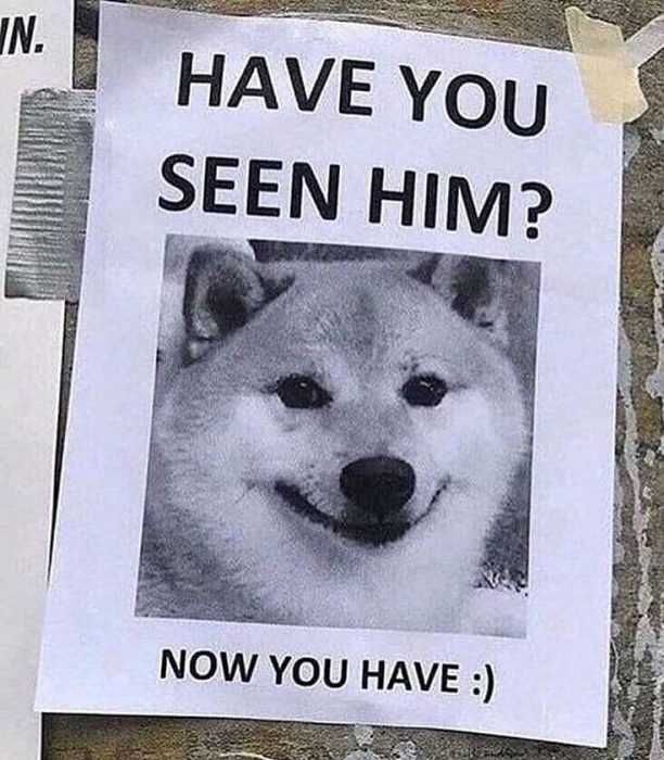 Meme-Have-You-Seen Meme Have You Seen