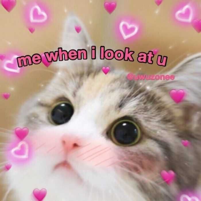 Meme-Look-At-U Meme Look At U