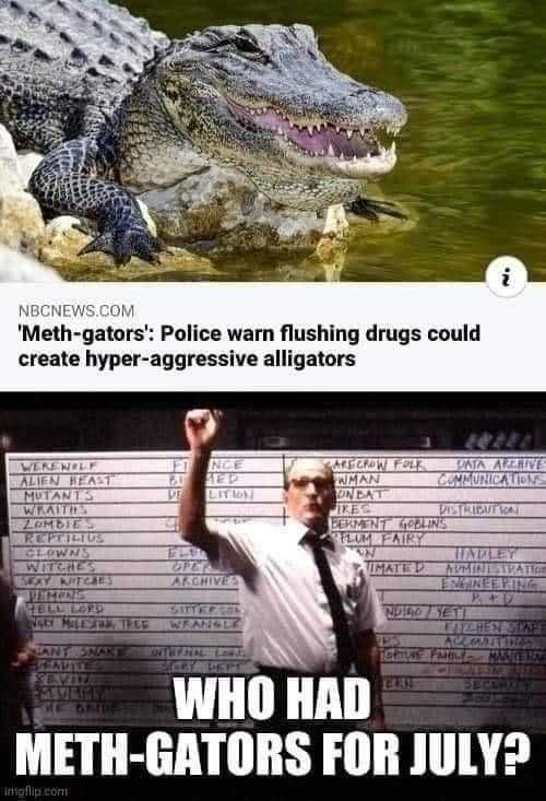 Meme-Meth-Gators Meme Meth Gators